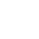 PDF Icon